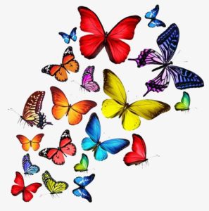 Artwork of Butterflies