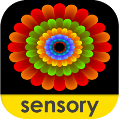 Sensory Coloco Symmetry Painting And Visual Effects