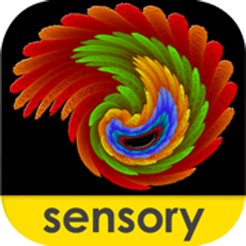 Sensory Mandala Paint