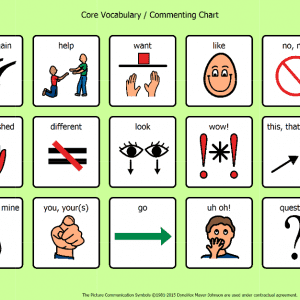 Core vocabulary commenting chart