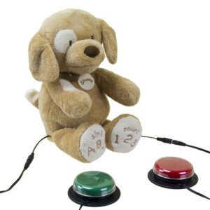 Bear with two switches