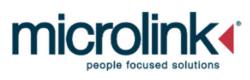 microlink people focused solutions microlink people focused solutions