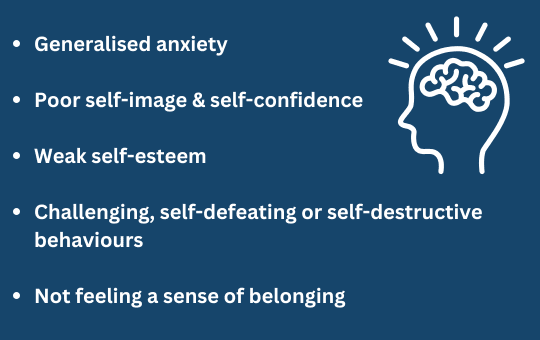 Generalised anxiety, Poor self-image & self-confidence, weak self-esteem, Challenging, Self-defeating or self-destructive behaviours, Not feeling a sense of belonging